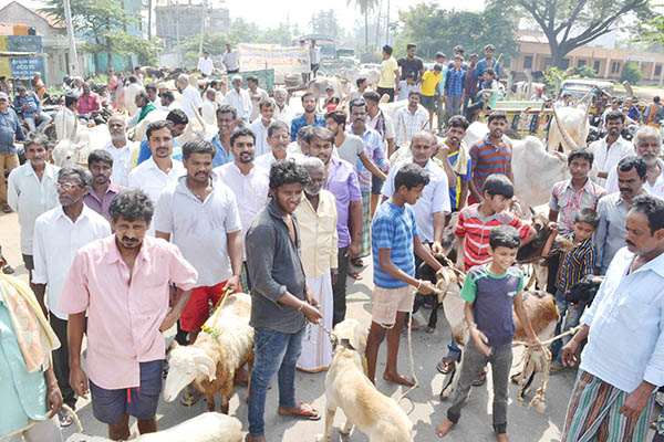 ಮಂಡ್ಯ: ಪಶು ಆಸ್ಪತ್ರೆ ಸ್ಥಳಾಂತರ ಖಂಡಿಸಿ ಪ್ರತಿಭಟನೆ